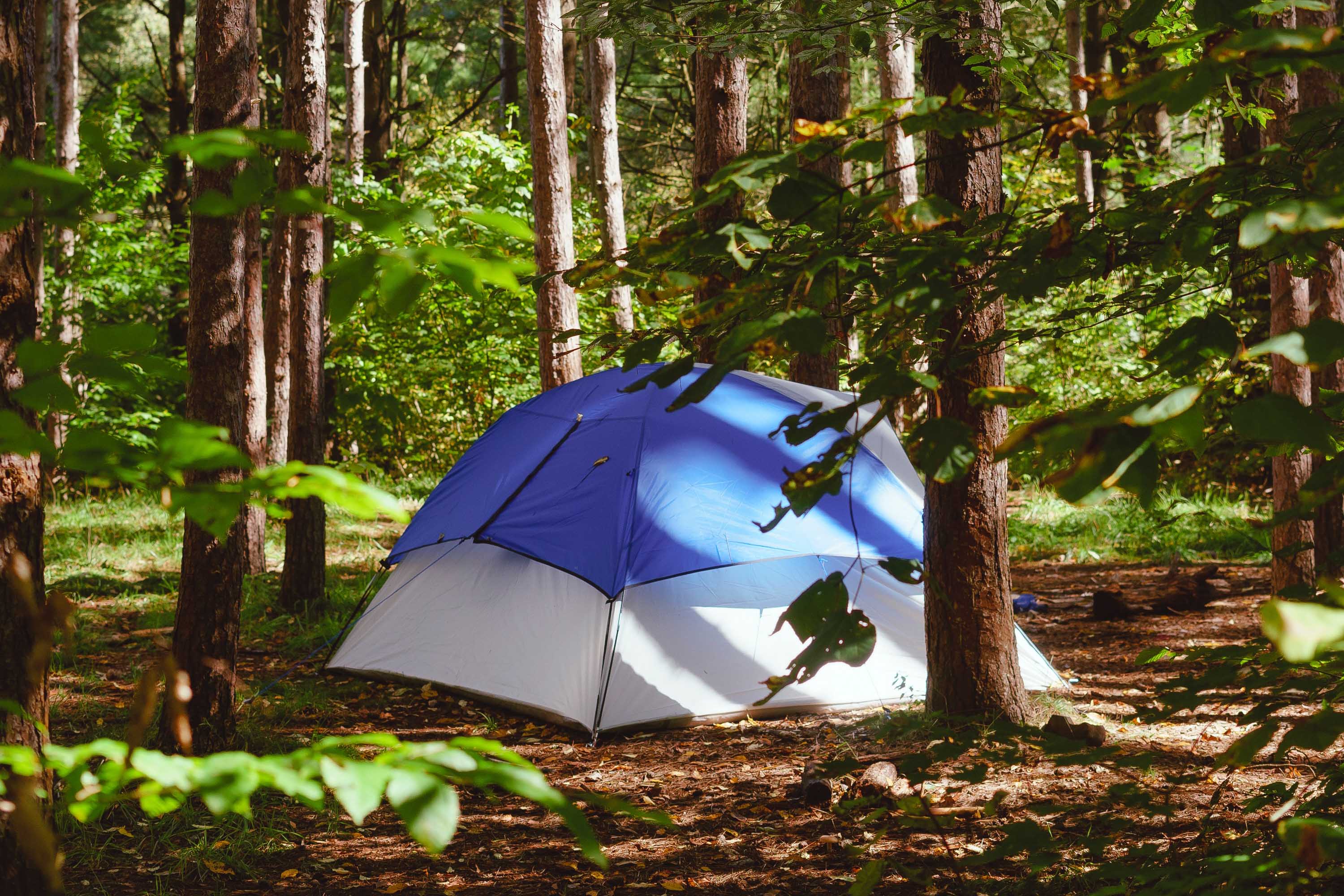 camping finger lakes new york