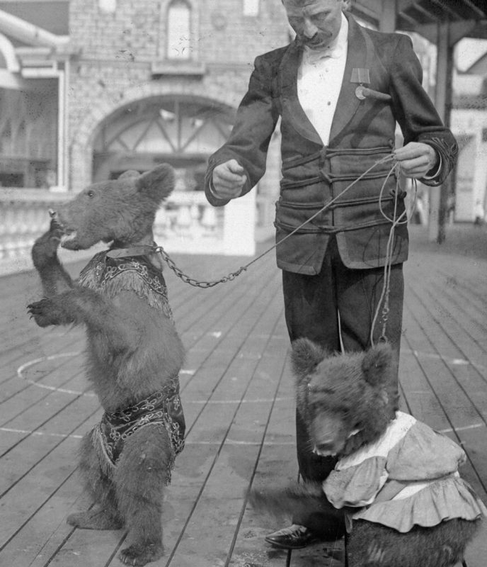 (Original Caption) New York, NY: The Roosevelt bears at Coney Island. Undated photograph. (Photo by George Rinhart/Corbis via Getty Images)