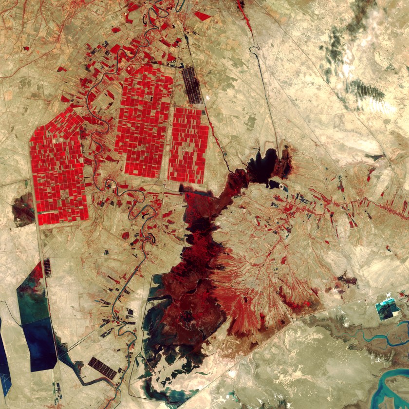 What appear to be smatterings of paint on a wall represent an amalgam of human-made and natural features in southwestern Iran. The dark red shape in the center of the image is Shadegan Pond, which is the northern part of the larger Shadegan Wetlands. Red areas depict actively growing vegetation, and the rectangular shapes in the upper left reveal irrigated farmland.(USGS/NASA)