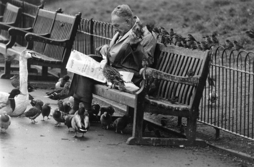 1976: Mr James Cripps, who has fed the pigeons and other birds in St. James Park since he was fifteen years of age. (Evening Standard/Getty Images)