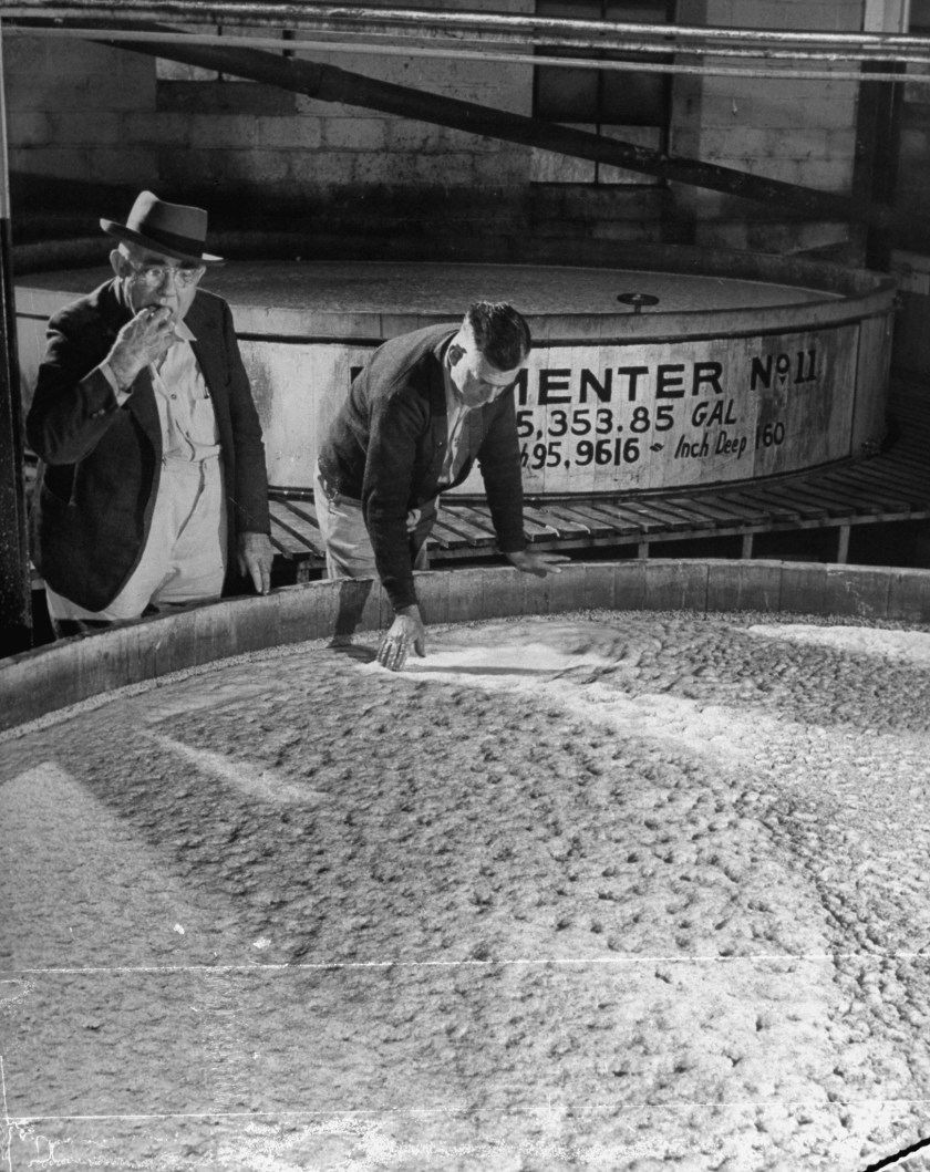 Tasters testing whiskey at Jack Daniels distillery. (Photo by Ed Clark/The LIFE Picture Collection/Getty Images)