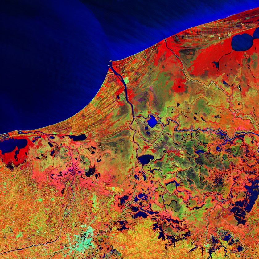 Much of this image consists of the Reserva de la Biosfera Pantanos de Centla, a biosphere reserve in southern Mexico that protects wetlands in the area. The water bodies, mangroves, and forests are a sanctuary for a great variety of wildlife. Sediment carried away by the Grijalva River appears as a sweeping light blue brushstroke flowing into the Gulf of Mexico at the top of the image. (USGS/NASA)