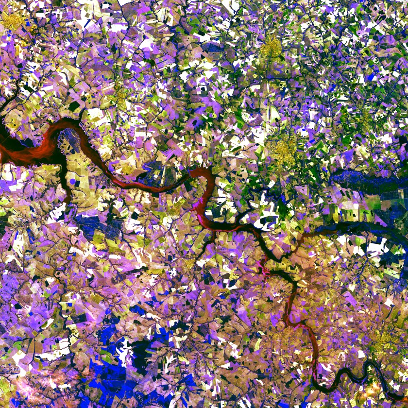 The Tietê River snakes across this tessera mosaic of multicolored shapes near Ibitinga, Brazil. Fields of sugarcane, peanuts, and corn vary in their stages of development. Lavender, purple, and bright blue indicate actively growing crops. Light yellow or white indicate little or no vegetation growth. The splotches of dark mustard yellow are urban areas. (USGS/NASA)