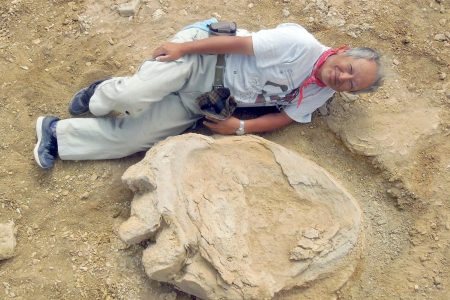 Professor Shinobu Ishigaki lies next to a dinosaur print in the Gobi Desert.(Courtesy of Shinobu Ishigaki/Okayama University of Science)