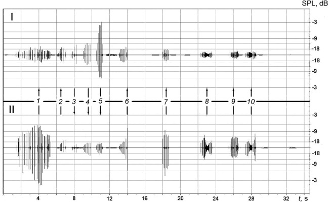 Example of the recordings displaying the sequence of the NP packs produced by the dolphins (Vyacheslav A. Ryabov/Physics and Mathematics)