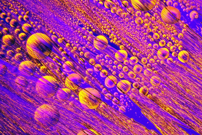 USA: Feature Rates Apply Mandatory Credit: Photo by SpikeWalker/RPS/Bournemouth/REX/Shutterstock (6047461o) Ephedrine vapour crystallized on cooling. Microscope images of creatures, vitamins, crystals, UK - Sep 2016 *Full story: http://www.rexfeatures.com/nanolink/srsr These incredible microscopic images of creatures, vitamins, crystals and even a fetus are to be recognised with an award from the Royal Photographic Society. Spike Walker has been fascinated by photomicrography since he got his first microscope just after the conclusion of the Second World War, when he was about 12-years-old. Now his life's passion is to be recognised with a Scientific Imaging Award from one of the world's oldest and prestigious photographic societies. The accolade is given to an individual for a body of photography which promotes public knowledge and understanding. The RPS said Spike's decades of work and immeasurable contribution to the field make him the perfect recipient.