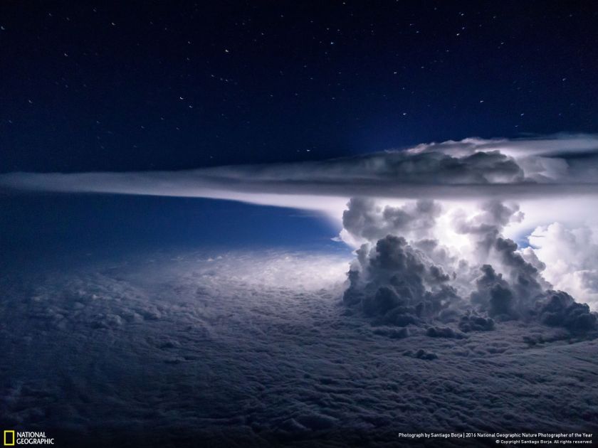 (Santiago Borja/2016 National Geographic Nature Photographer of the Year)