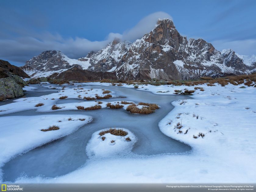 (Alessandro Gruzza/2016 National Geographic Nature Photographer of the Year)