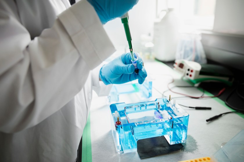 Scientist with pipette loading DNA gels in laboratory (Getty Images)