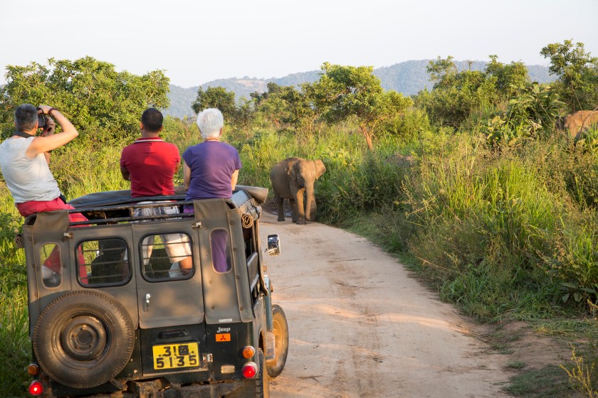 Tourists on safari in Sri Lanka (GeographyPhotos/UIG via Getty Images)