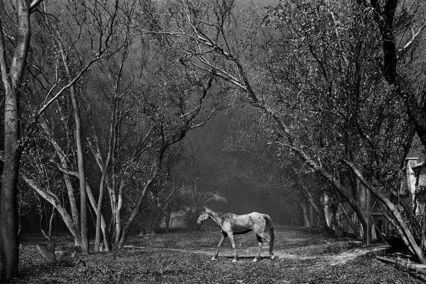 (Sebastião Salgado /Amazonas Images/Courtesy Taschen)