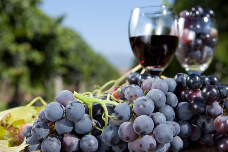 Red grape and wine on the table. (Getty Images)