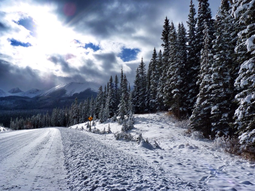 A snowy road favors the prepared (Fancylady/Flickr)