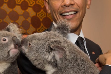 In this handout photo provided by the G20 Australia, Australia's Prime Minister Tony Abbott and United States' President Barack Obama meet Jimbelung the koala before the start of the first G20 meeting on November 15, 2014 in Brisbane, Australia. (Andrew Taylor/G20 Australia via Getty Images)