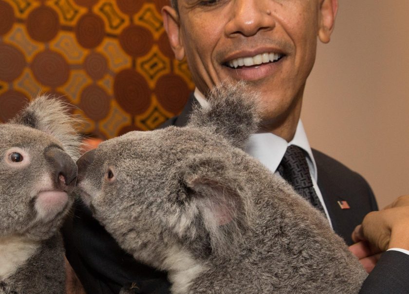 In this handout photo provided by the G20 Australia, Australia's Prime Minister Tony Abbott and United States' President Barack Obama meet Jimbelung the koala before the start of the first G20 meeting on November 15, 2014 in Brisbane, Australia. (Andrew Taylor/G20 Australia via Getty Images)