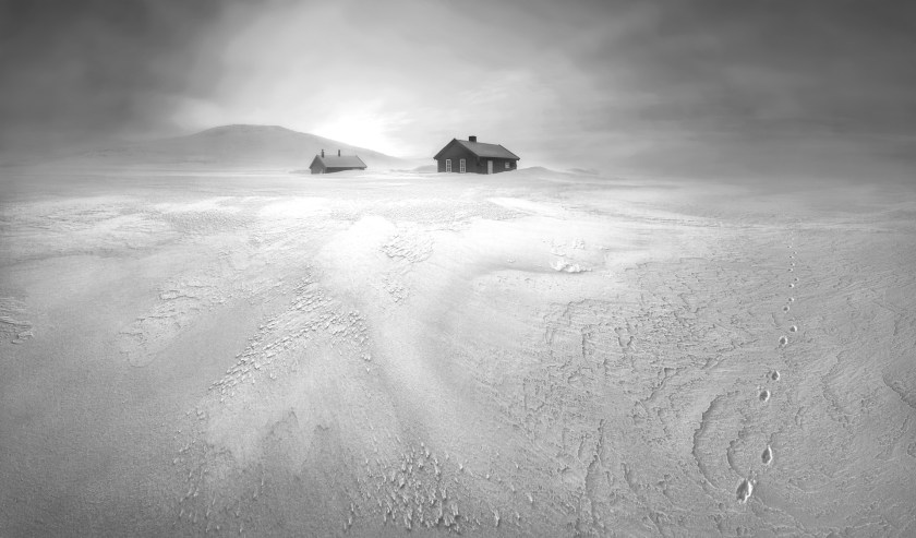 "After days of frigid snowstorms, a break in the weather revealed an otherworldly landscape near these hunters’ cabins. The little footprints were left behind by a lone arctic fox during its relentless search for food in this barren wilderness. After scouting this frozen scene before sunrise, I discovered a spot with a snowdrift leading into the light. The placement of the hill to the left and the tracks made for a balanced image. The image is captured in a wide panoramic format to convey the vastness of the surroundings. I captured the image just before the sun broke the horizon, making for a softly lit scene that helps the textures come alive." (Stian Nesoy )