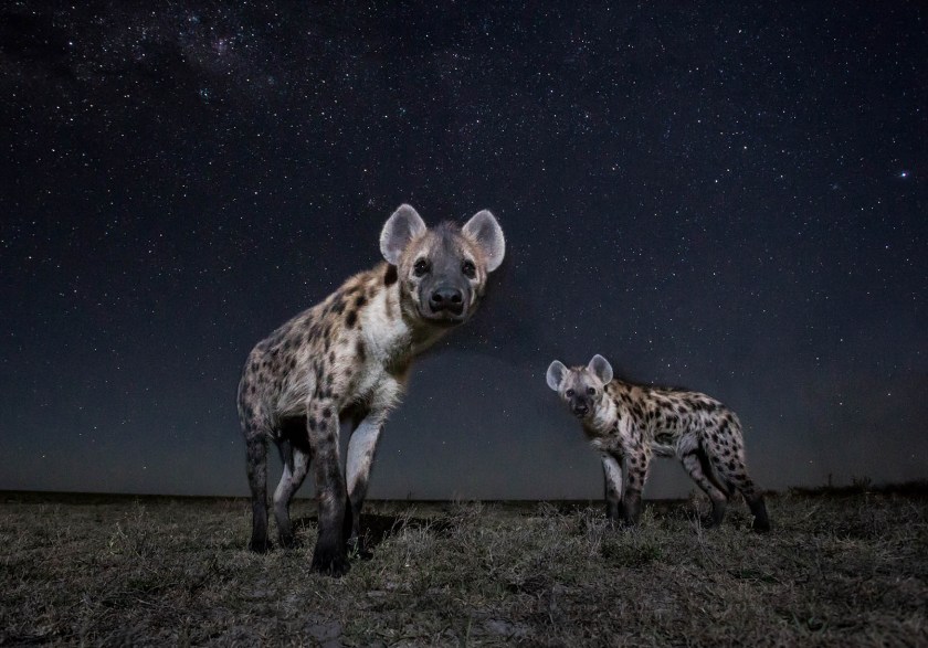 (Will Burrard-Lucas)