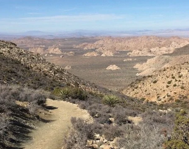 best hike joshua tree