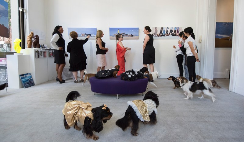 Dogs and their owners attend an event at the Soho Galleries on March 11, 2017 in Sydney, Australia. (James D. Morgan/Getty Images)