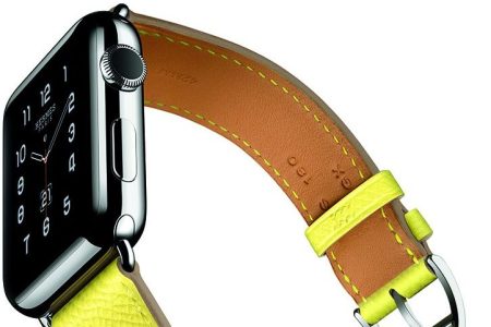 Hermes Leather Band (Apple)