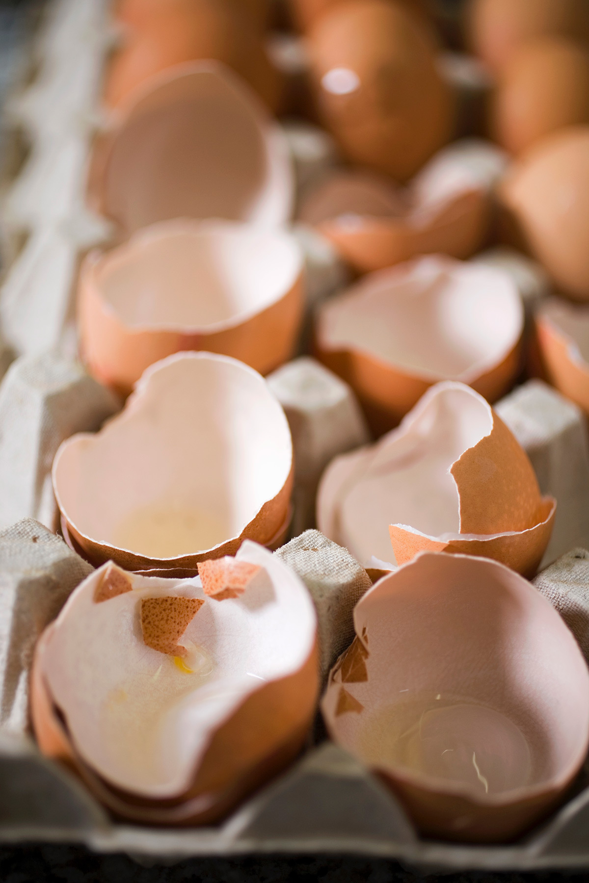 Egg shells