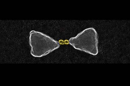 Gold nanoparticles chemically guided inside the hot-spot of a larger gold bow-tie nanoantenna. (Imperial College London)