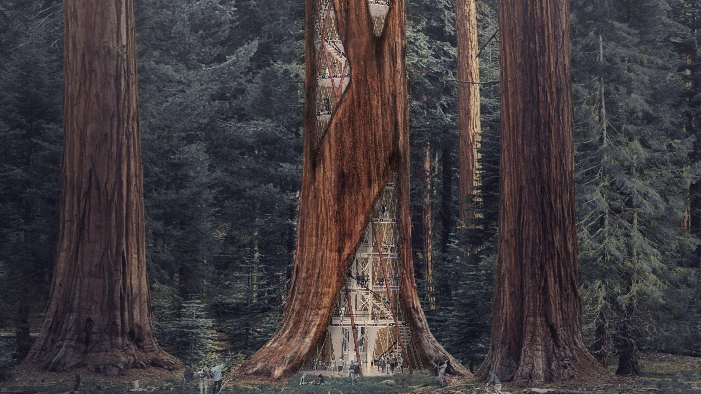 Architects designed a building concept inside a hollowed out Giant Sequois tree. Taller than 250 feet tall with a 100-foot width, the redwood is a perfect home for a skyscraper. The concept would prevent the tree from falling over while providing space for research and education. (Ko Jinhyeuk, Cheong Changwon, Cho Kyuhyung, Choi Sunwoong)