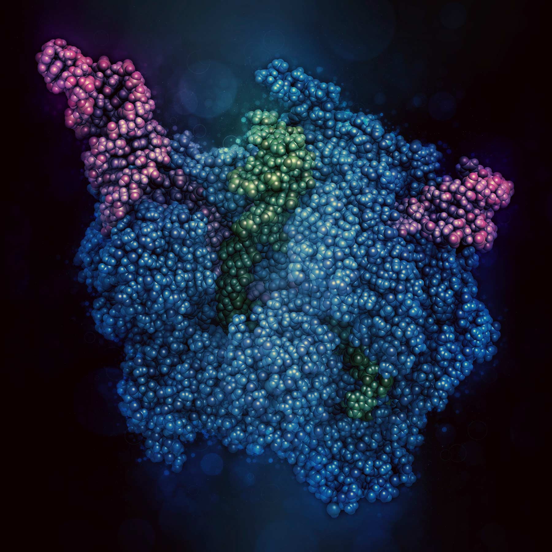 CRISPR-Cas9