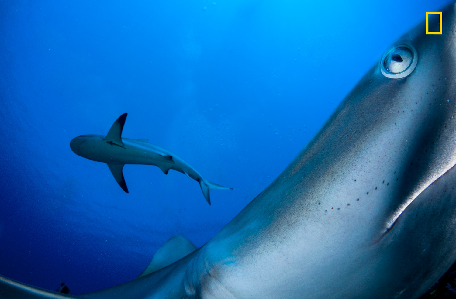 National Geographic Travel Photographer of the Year Contest