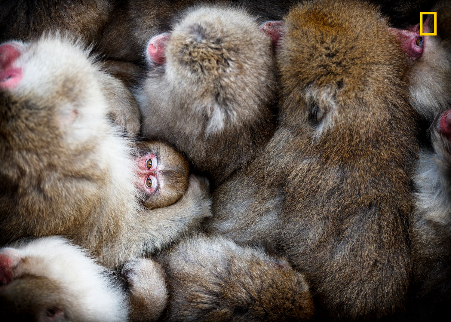 National Geographic Travel Photographer of the Year Contest