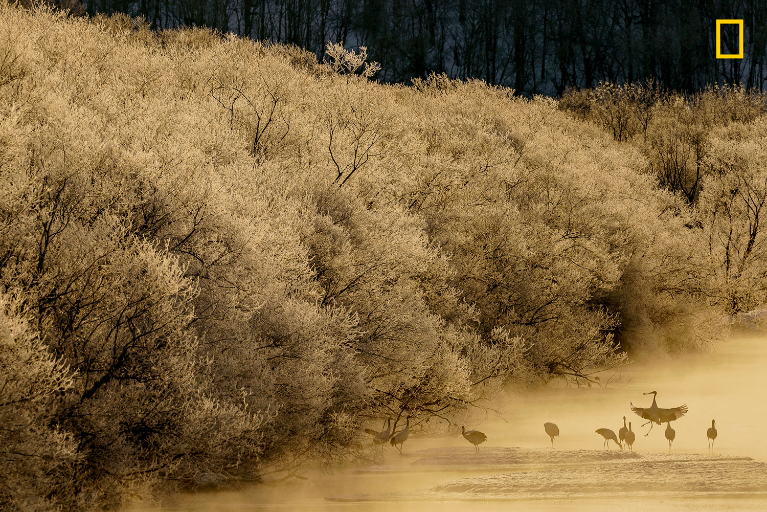 National Geographic Travel Photographer of the Year Contest