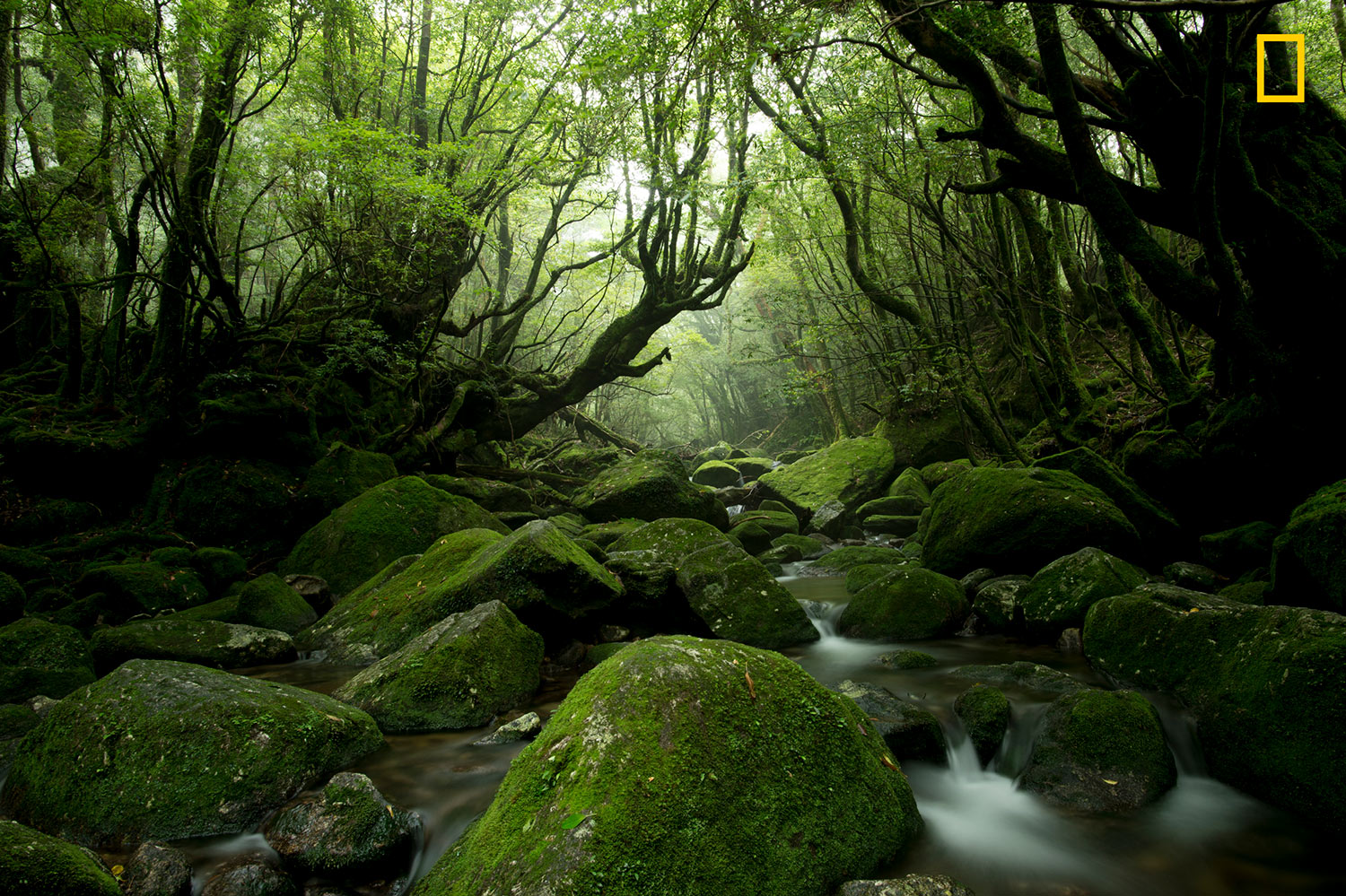 National Geographic Travel Photographer of the Year Contest