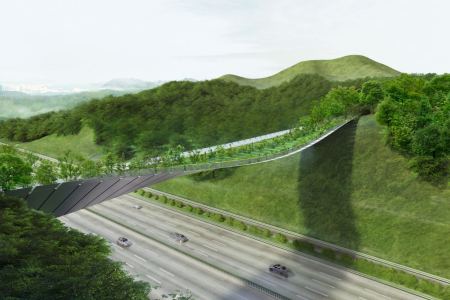 KILD architects winning design for the the Yangjaegogae Eco Bridge, which aims to create a green passageway across the Gyeongbu Expressway. (KILD)