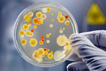 Crowdsourcing the fight against superbugs