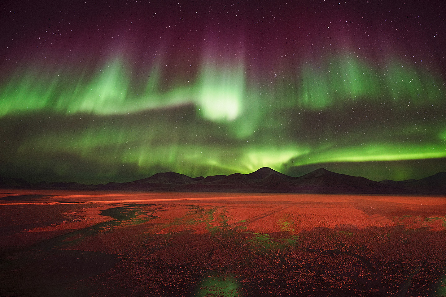 Insight Astronomy Photographer of the Year 2017