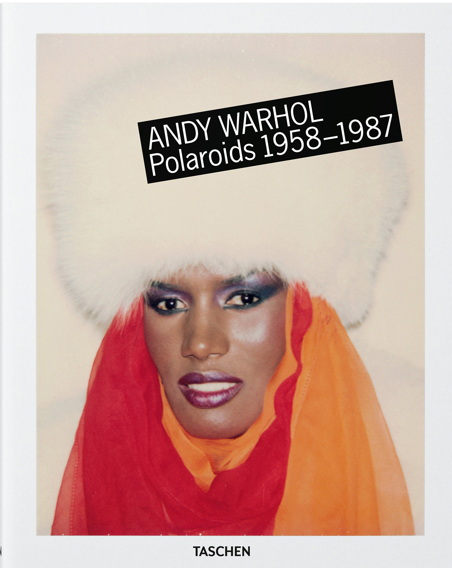 Andy Warhol Polaroids