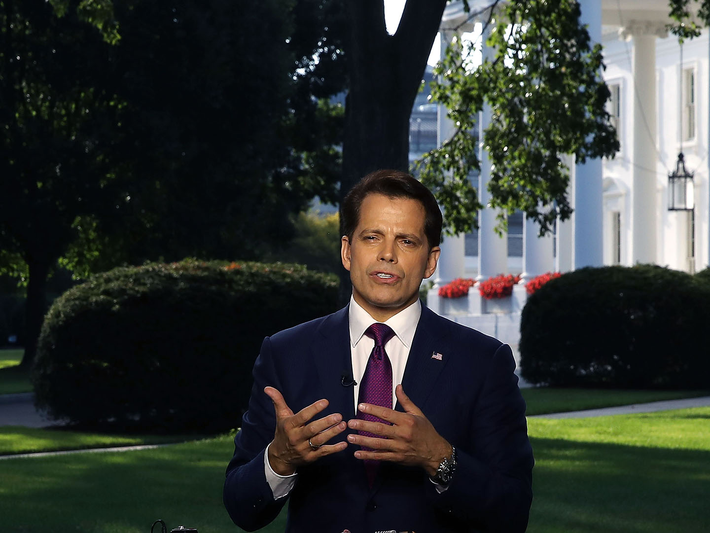 Anthony Scaramucci