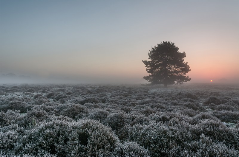 Weather Photographer of the Year 2017