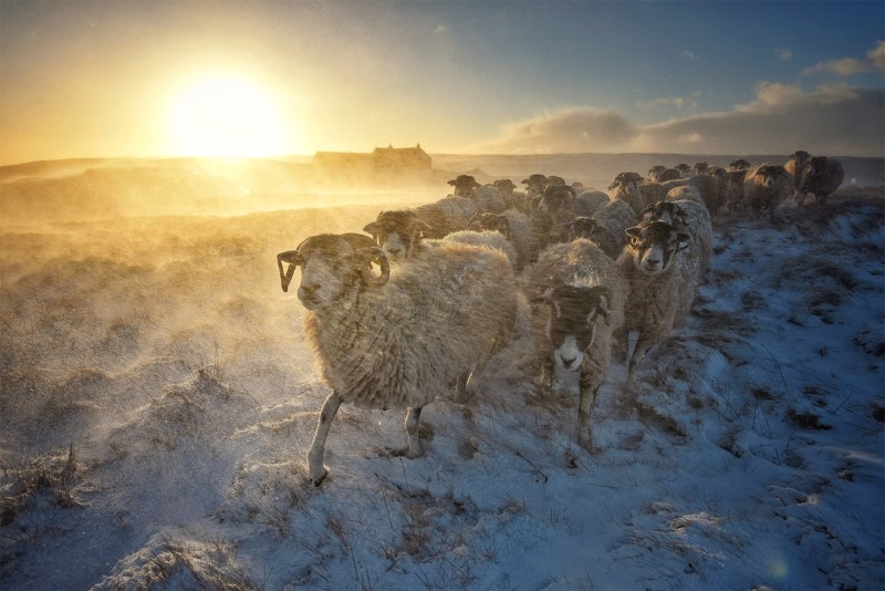 Weather Photographer of the Year 2017