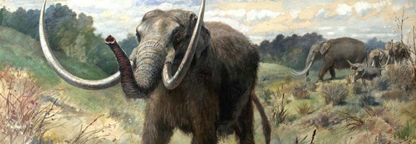 An Ancient Mastodon Started a Debate About Humans' Arrival in North America