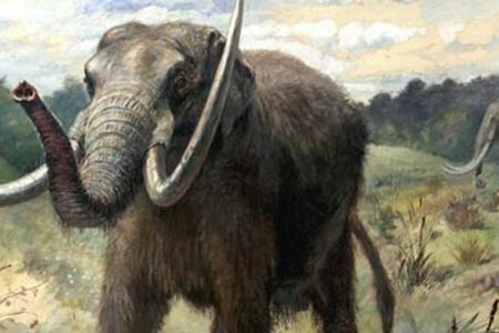 An Ancient Mastodon Started a Debate About Humans' Arrival in North America