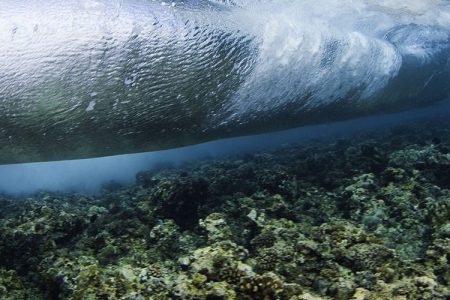 Tubbataha Reef