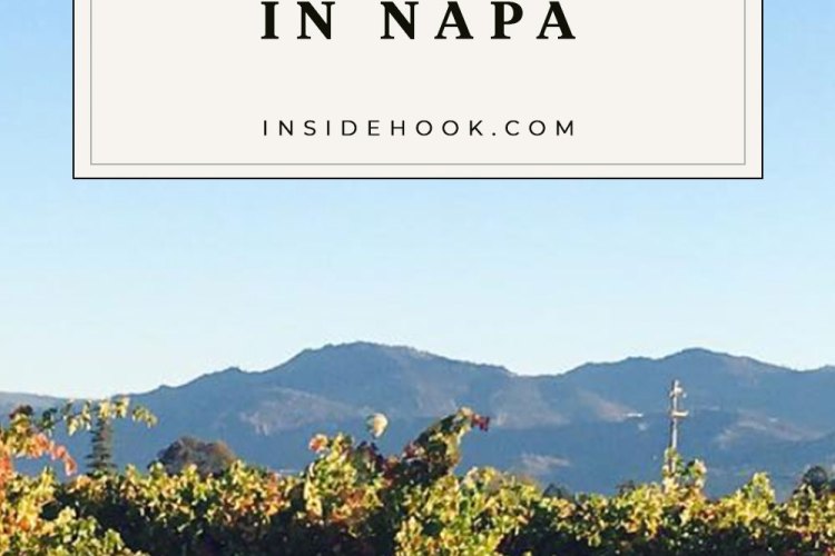 napa valley vineyard