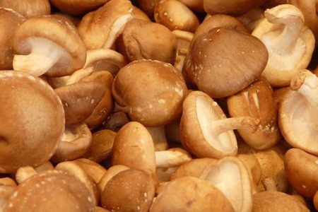 Is The Next Big Trend Medicinal Mushrooms?