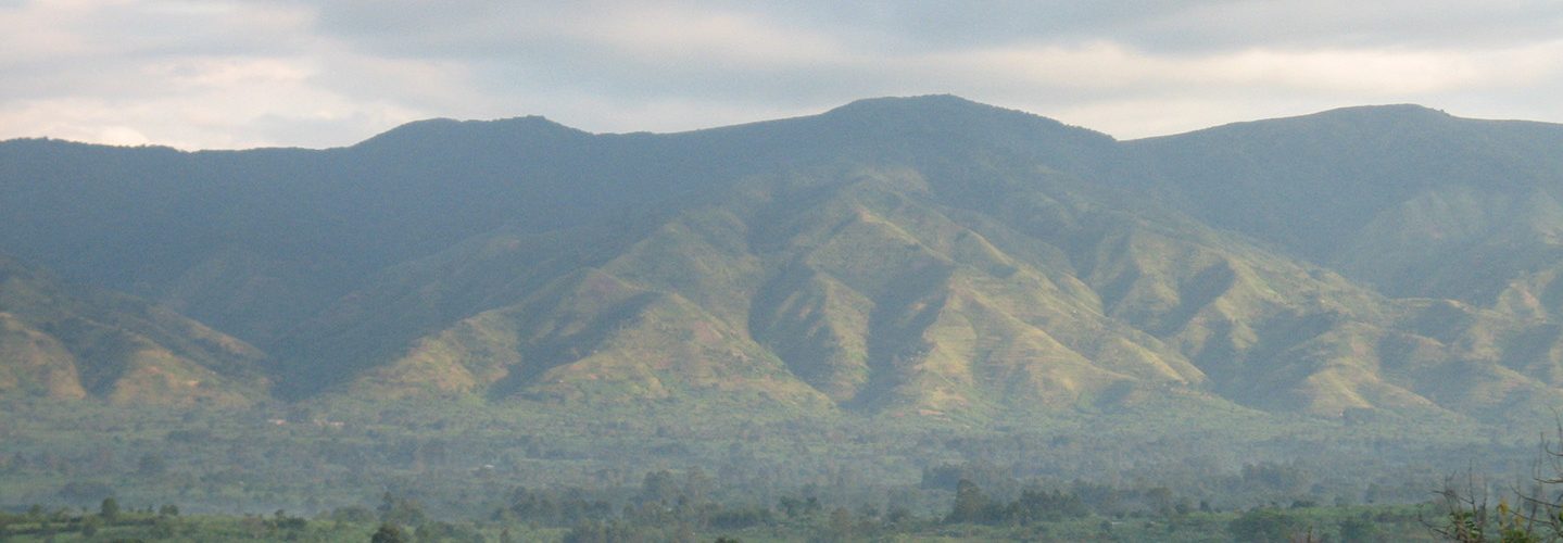 Rwenzori range