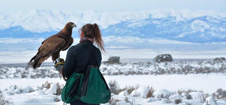 Lara Croft Lauren McGough Falconry