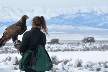 Lara Croft Lauren McGough Falconry