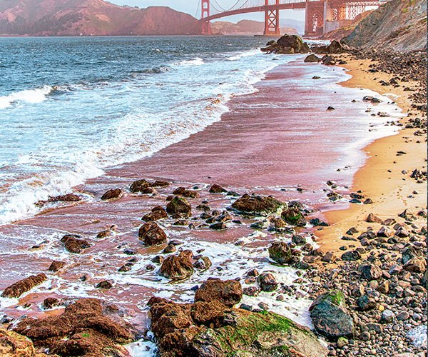 golden gate bridge