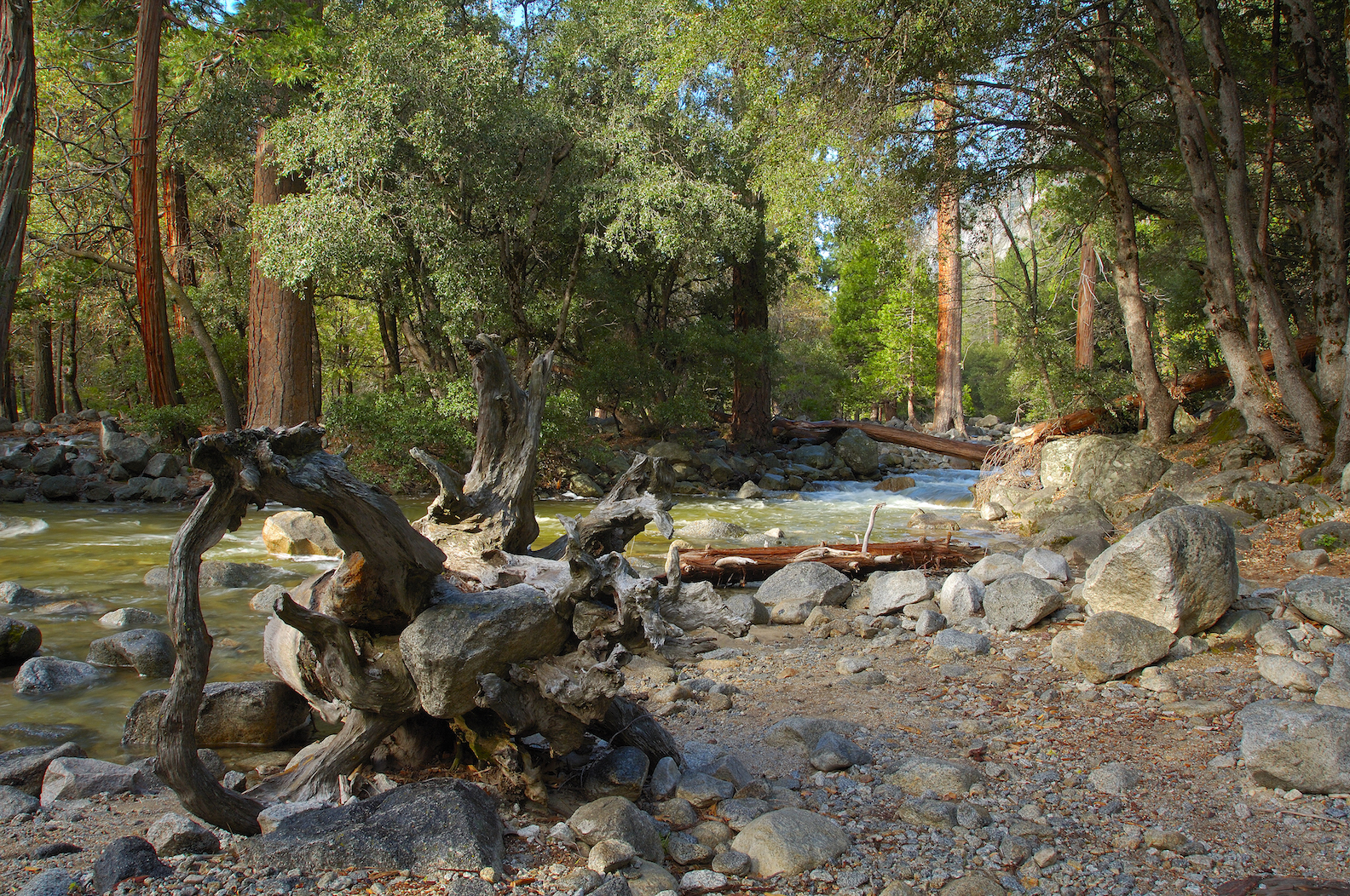 National Parks Are Having a Poop Crisis