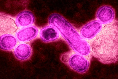 The flu virus. (Photo By BSIP/UIG Via Getty Images)